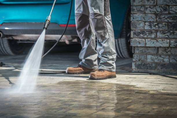 Best Winterizing Services  in Zephyrhills West, FL