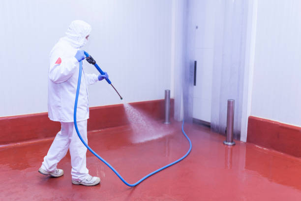 Best Concrete Sealing  in Zephyrhills West, FL