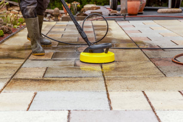 Best Dumpster Area Cleaning  in Zephyrhills West, FL