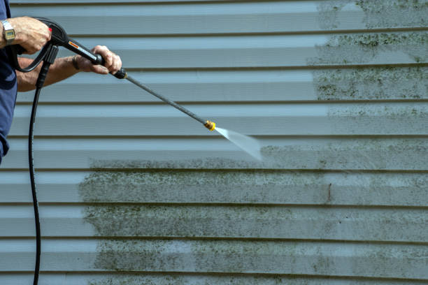 Best Graffiti Removal  in Zephyrhills West, FL