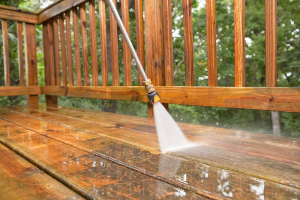 Best Driveway Pressure Washing  in Zephyrhills West, FL